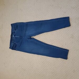 Universal Standard Seine High Rise Skinny Jean Sz 14 True Blue